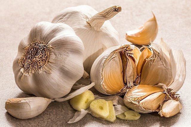 Garlic boost immune system