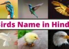 bird name in hindi