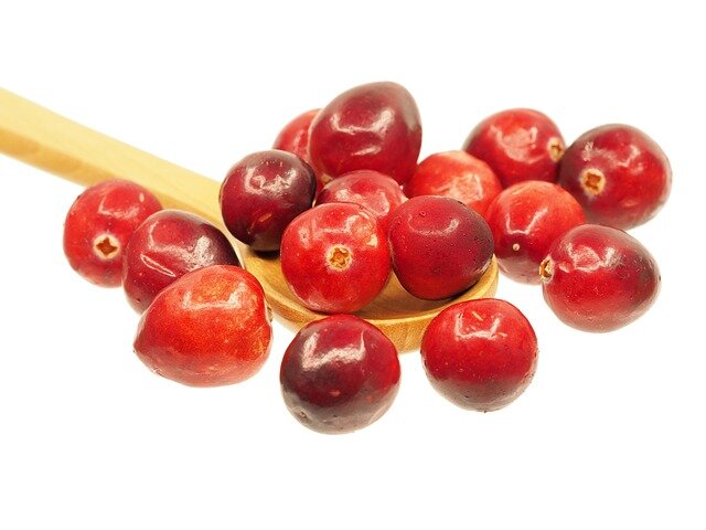 cranberry scientific name