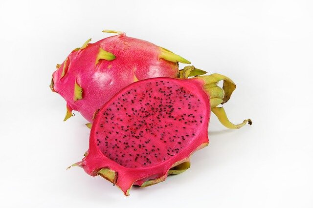 dragon fruit scientific name