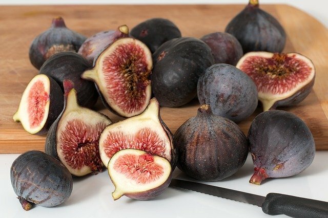 fig scientific name