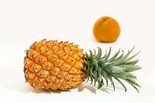 pineapple scientific name