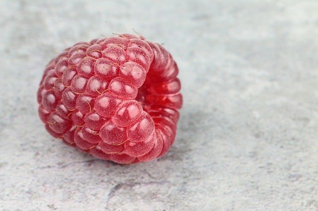 rasberry scientific name