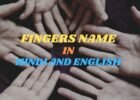 FINGER NAME IN HINDI