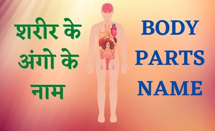 BODY PART NAME IN HINDI