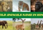 WILD ANIMALS NAME IN HINDI