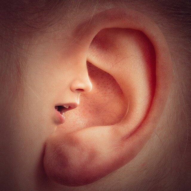 Ear