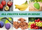 FRUITS NAME IN HINDI