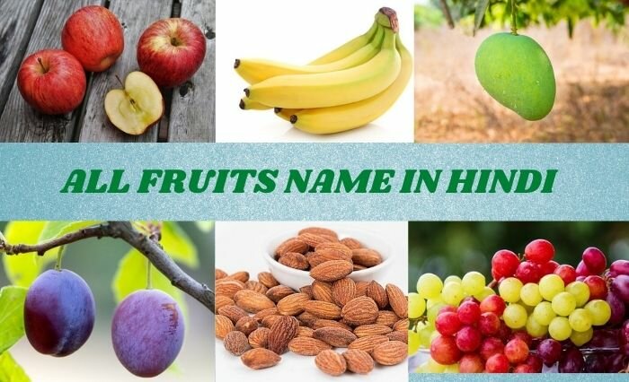 FRUITS NAME IN HINDI