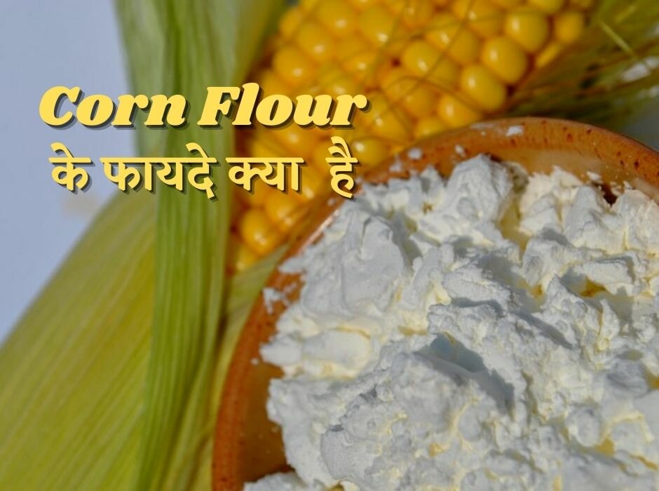 corn flour in hindi